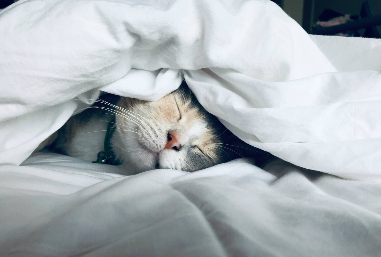 L’importance du sommeil pour un athlète